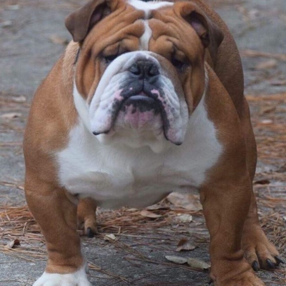 Meet your Posher, Mary - Picture 10 of 14